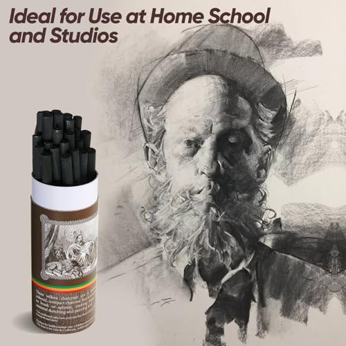 25 Pcs Willow Charcoal Sticks, Willow Charcoal,Sizes: 2-4mm,Professional Soft Black Drawing Charcoal for Sketching & Art