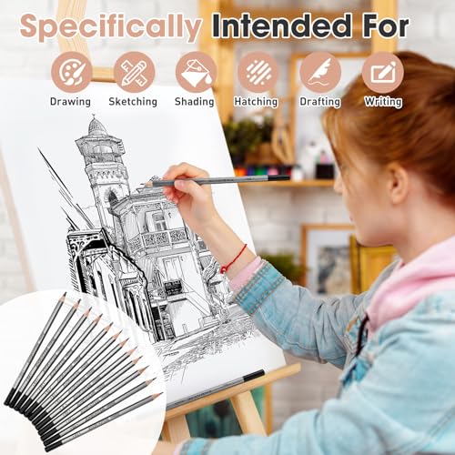 48 Pcs Drawing Sketching Pencil Set, Professional Drawing Pencils (10b - 6h) Graphite Sketch Pencil Artist Pencils Ideal for Beginners & Pro Artists, Drawing Art, Sketching, Shading Christmas Gifts