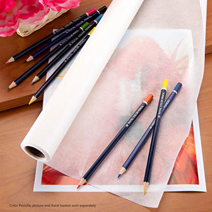 Bee Paper 24" x 20 yds Sketch and Trace Roll, White - color: White, size: 24-inch x 20-yard Roll