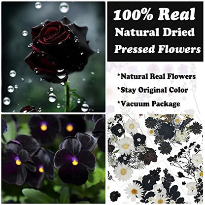 94 Pcs Black Pressed Dried Flowers for Resin Molds, Real Natural Flowers Leave for DIY Crafts, Jewelry, Candle, Soap Making Gifts - color: Black