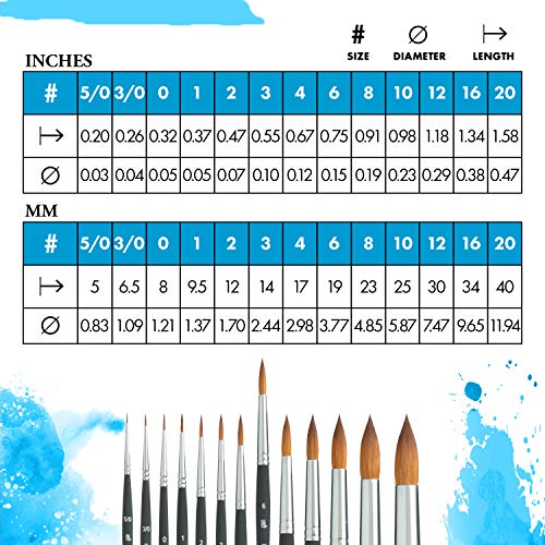 Princeton Aqua Elite, Series 4850, Synthetic Kolinsky Watercolor Paint Brush,Round, 6 - size: Size 6