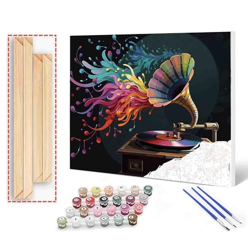 Paint by Numbers for Adults,Music Film Discs,DIY Acrylic Watercolor Painting by Numbers for Kids Beginners Abstract Colorful Painting Arts Craft On Canvas Home Wall Decor(16X20 inch DIY Frame) - color: Music-09, size: 16''x20''(DIY Frame)