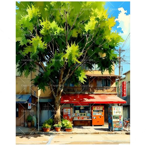 TAOPAOLAB Summer Street Paint by Numbers Kit for Adults - DIY Summer Day with Vending Machines and Storefront Painting on Canvas 16x20 Inch, Acrylic Paint Set for Beginners, Art for Home Decoration