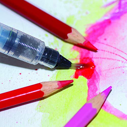 Pentel Arts Aquash Fine Point Water Brush, Medium (FRHMBP) - style: Medium
