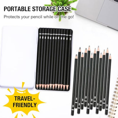SAYEEC Professional Drawing Sketching Pencil Set, 12 Pieces Graphite Pencils (14B-4H), Art Sketch Pencils with Metal Case Artist Pencil for Drawing Art, Sketching, Shading, Adults Beginners (Black)