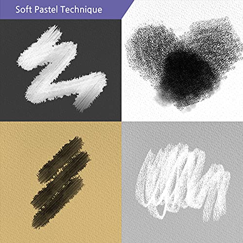 HA SHI Professional Soft Chalk Pastels for Adult Artists, Square Artist Grade Drawing Media, Black and White, 6 Sticks - color: Black & White (6 Sticks)