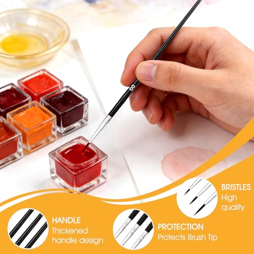 60 PCS Fine Detail Paint Brushes Set, #0#00#000 Small Paint Brushes for Miniatures, Acrylics & Watercolor, Ultra Thin Paint Brush for Model Crafts, Touch up & Paint by Numbers