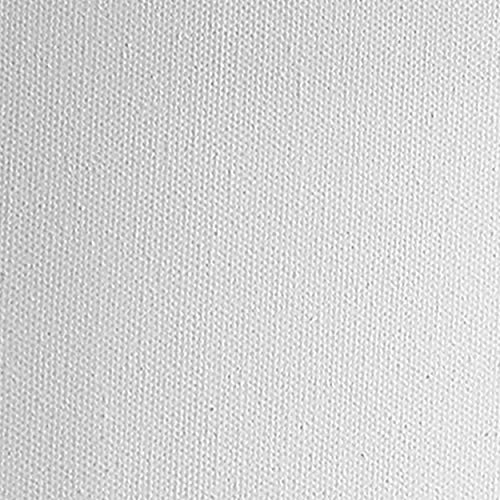 Practica Economy Stretched Cotton Canvas - Acid-Free Acrylic Primed Canvas for Acrylics, Pastels, Graphite, & More! - [2-Pack - 9x12] - size: 9x12"