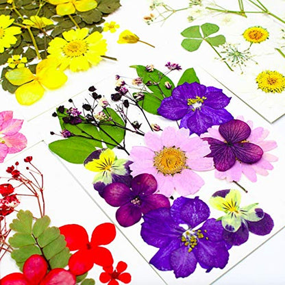 92 Pcs Purple Dried Pressed Flowers Real Natural Leave Petals for DIY Resin Candle Jewelry Nail Crafts - color: Purple