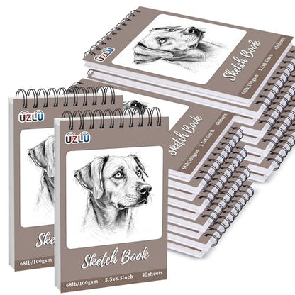 20 Pcs Sketch Books Bulk 5.5 x 8.5 In 800 Sheets Top Spiral Bound Sketch Pad Drawing Paper 40 Sheets Each Acid Free Mixed Media Sketchbook 68lb/100gsm Art Supplies for Beginner Artist - size: 5.5x8.5in, style: Total 800 sheets-20pcs