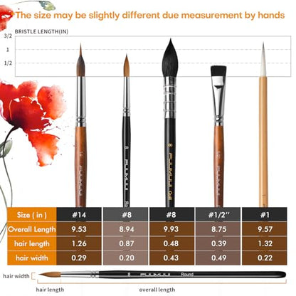 Watercolor Paint Brushes, 5pcs Fuumuui Professional Sable Brush, Wool & Synthetic Squirrel Brushes Set with Extended Needle, Round Point, Flat, Quill Wash Perfect for Watercolor Acrylic Gouache Inks - color: Mix5