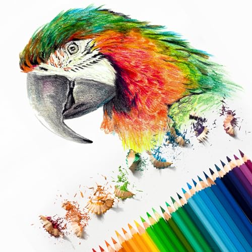 PATIKIL Watercolor Pencil, 6Pcs Water Soluble Pencils for Blending, Coloring, Sketch Drawing, Painting, Grey - color: Grey