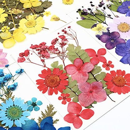 75 Pcs Red Dried Flowers Real Natural Pressed Leave Petals for DIY Resin Candle Jewelry Nail Pendant Crafts - color: Red