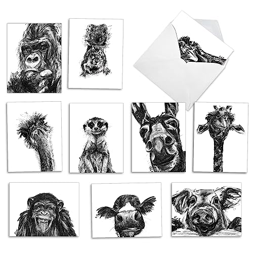 The Best Card Company - 10 Assorted Blank All Occasions Notecards Boxed Set 4 x 5.12 Inch with Envelopes (10 Designs, 1 Each) Boxed Assorted Kid Cards of Pets - CHARCOAL ANIMALS M2956OCB - style: Charcoal Animals