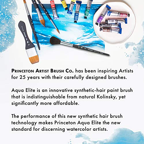 Princeton Aqua Elite, Series 4850, Synthetic Kolinsky Watercolor Paint Brush,Round, 0 - size: Size 0