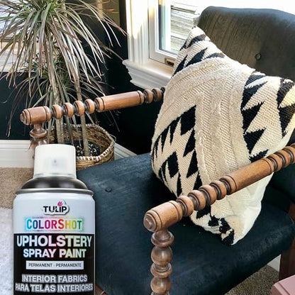 TULIP ColorShot Fabric Spray Paint for Upholstery, Permanent Spray-On Fabric Paint for Furniture, 8 oz, Black - color: Black