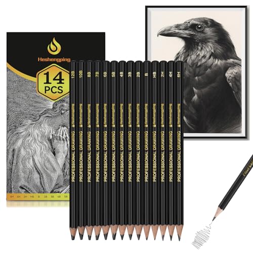 Heshengping Drawing Sketch Pencil Set 14pcs Sketching Pencils 12B 10B 8B 7B 6B 5B 4B 3B 2B B HB 2H 4H 6H Graphite Pencils for Kid Adults Artists Student Beginners Professional - color: Style3