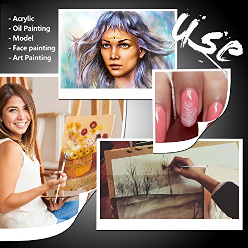 Amagic Fan Brush Set - Hog Bristle Natural Hair - Artist Soft Anti-Shedding Paint Brushes for Acrylic Watercolor Oil Painting, Long Wood Handle with Case, Set of 6