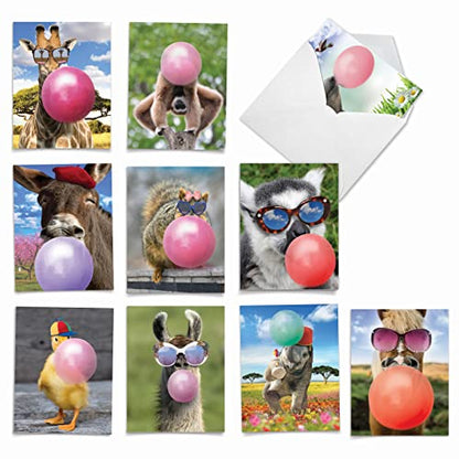 The Best Card Company - 10 Adorable Note Cards Blank (4 x 5.12 Inch) - Wildlife and Animal Cards, Assorted Boxed Set - Balloon Animals AM6837OCB-B1x10 - style: Balloon Animals