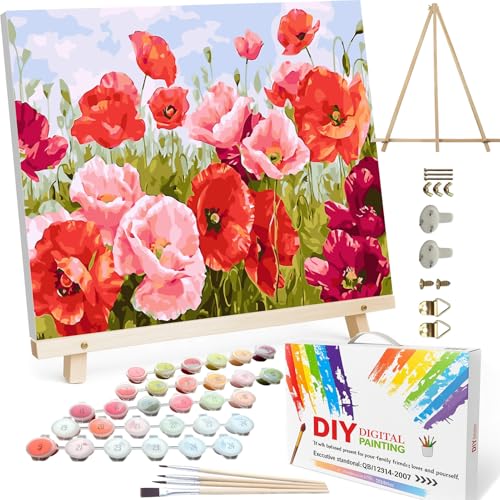 BAISITE Paint by Numbers Kit for Adults Beginners,20" Wx16 L Canvas for Painting Kits for Adults in Colorful Box Poppy Flowers-BSC001-Already Stretched on a Wooden Frame - color: HXL-BSC001-1, size: Already Famed(20"X16")
