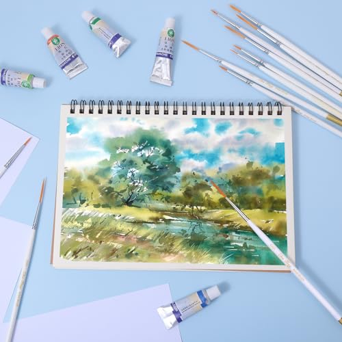 12 Pcs Script Liner Brush Highly Flexible Paint Brushes Extra Long Fine Point Tip Detail Paintbrushes for Model Fingure Watercolor Acrylic Miniature Painting