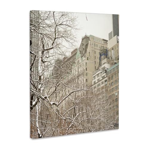 3dRose Snow blizzard in Central Park Manhattan New York City Museum Grade Canvas Wrap 8x10 - size: 8"L x 10"W