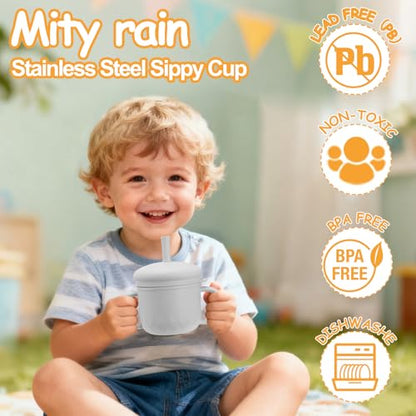 Mity rain 3-In-1 Stainless Steel Sippy Cup for 6+ Month Old, Baby Straw Cups for Toddlers 1-3 with Travel Lid, Silicone Straw, Replacement Straw & Cleaning Brush - 8oz Toddler Cups Spill Proof Set - color: Gray