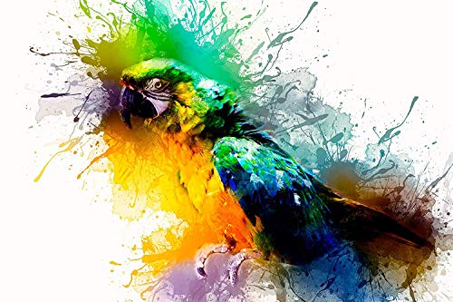 Brustro Artists’ Watercolour Pan (Set of 42) With its Paper, 14 X 21 cm
