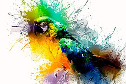 Brustro Artists’ Watercolour Pan (Set of 42) With its Paper, 14 X 21 cm