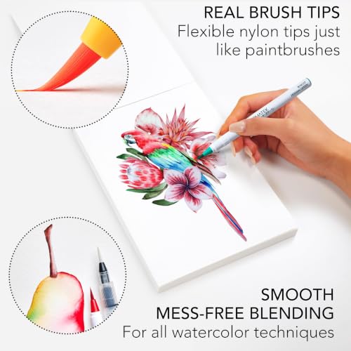 CHROMATEK 22 Watercolor Pens Set | 2 Aquapens & 20 Unique Colors | Brush Pens | Easily Blendable, Vivid, Smooth | Professional Art Supplies - style: 22 Pen Set