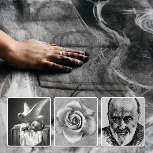 Premium Charcoal Powder for Drawing and Art, Drawing Charcoal for Sketching, Shading, Blending with Beginners & Pro Artists (8 Ounces) - size: 8 Ounces