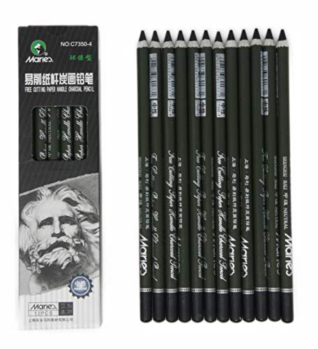 Charcoal Pencil Set - 12pcs/pk - Black Free Cutting Paper Handle Charcoal Pencil C7350 (Soft) - style: Soft