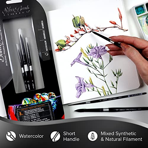 Black Velvet® Beginning Round W/C Set, 3 piece Set Rounds Size 2, 6, 10 - color: Watercolor Beginning Round Set, size: 3 Pc