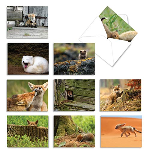 The Best Card Company - 10 Adorable Note Cards Blank (4 x 5.12 Inch) - Wildlife and Animal, Assorted Boxed Set - Little Foxes M6480OCB - style: Little Foxes