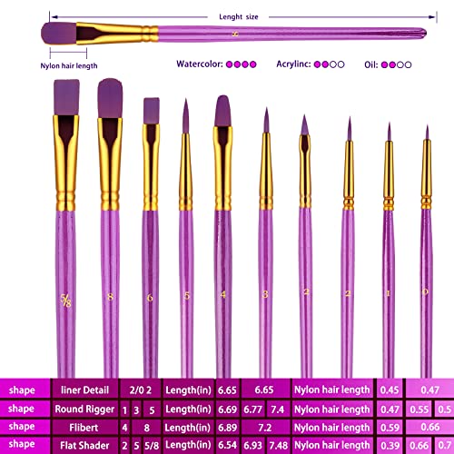 Paint Brushes Set, 30 Pcs Paint Brushes for Acrylic Painting, Watercolor Acrylic Oil Paint Brush, Artist Paintbrushes for Body Face Rock Canvas, Adult Drawing Arts Crafts Supplies, Purple - color: Nickel,purple