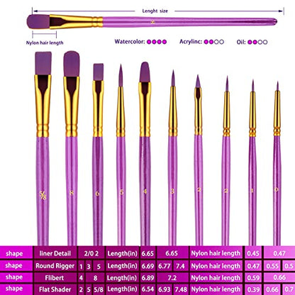 Paint Brushes Set, 30 Pcs Paint Brushes for Acrylic Painting, Watercolor Acrylic Oil Paint Brush, Artist Paintbrushes for Body Face Rock Canvas, Adult Drawing Arts Crafts Supplies, Purple - color: Nickel,purple
