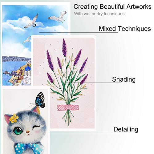 KALOUR 72 Water Soluble Watercolor Pencils Set with 2 Brushes | Smooth blendable pigments for wet & dry painting, great for adults, beginners, coloring books, sketching and illustration
