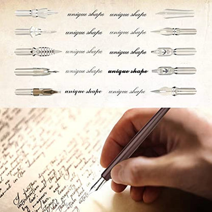 hhhouu Calligraphy Set for Beginners Quill Pen and Ink Set Fancy Pens with Black Ink and 11 Nibs for Lettering,Drawing, Journaling, Signing, Invitation HO-Q-301