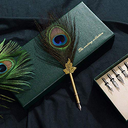 Feather Quill Pen Ink Set-Vintage Peacock Feather Pen with Holder,5pc Metal Pen Nib Writing Calligraphy Pen Set for Beginner