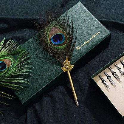 Feather Quill Pen Ink Set-Vintage Peacock Feather Pen with Holder,5pc Metal Pen Nib Writing Calligraphy Pen Set for Beginner