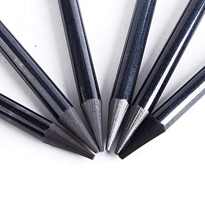 Woodless Pencil Set 6 Pcs Black Graphite Pencil Set Art Supplies Non-Wood Artist Pencil Charcoal Sticks Artist Beginner Sketch Tool Dawing Supplies for Sketch & Shading Pencils,HB 2B 4B 6B 8B EE
