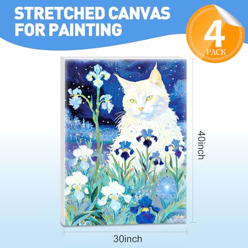 FUMILE Canvas for Painting 30x40, 4 Pack Large Stretched Canvas for Painting-5/8 in Profile Primed White Blank Painting Canvas Value Pack for Oil & Acrylic Paint - size: 30x40IN
