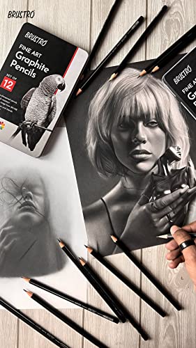 BRUSTRO Fine Art Graphite Pencil - Set of 12 (10B - 2H) with Mechanical Precision Retractable Eraser(2.3mm) | Ideal for Drawing,Sketching,Mandala,Shading,Artwork, Beginners, Artists and Professionals - style: Graphite Pencil + Mechanical Eraser