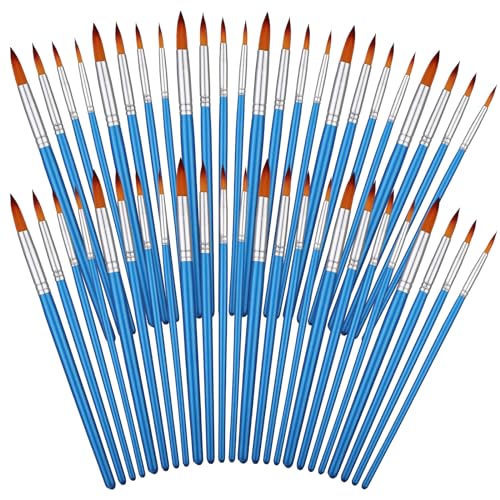 Sherr 48 Pcs Paint Brush Set Bulk Acrylic Brush Wood Paint for Detail Art Crafts Kids Artist Adult Watercolor Oil Face Body(0.35, 0.28, 0.2, 0.16 Inch,Round Style) - color: Round Style, size: 0.35, 0.28, 0.2, 0.16 Inch