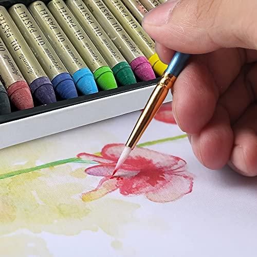 HA SHI Soft Oil Pastels Set (50 Sticks, 48 Colors) Water Soluble Oil Crayon 12 Color