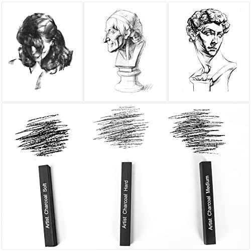 6 Pack Compressed Charcoal Sticks, Vine Charcoal Stick for Drawing, Sketching, Shading, Art Supplies Sketch Kits Tools Soft, Medium and Hard Grade - color: Black-6