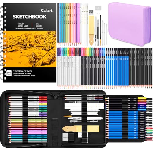 Caliart 176PCS Art Supplies Sketching Kit, 100 Sheets 3-Color Sketch Book | Graphite Colored Charcoal Watercolor & Metallic Pencils, Drawing Supplies Set for Artists Adults Beginners - color: Purple