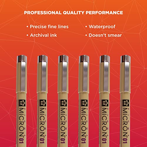 SAKURA Pigma Micron Fineliner Pens - Archival Black Ink Pens - Black Ink - 01 Point Size - 6 Pack & Pigma Micron Fineliner Pens - Archival Black Ink Pens - Black Ink - 005 Point Size - 6 Pack