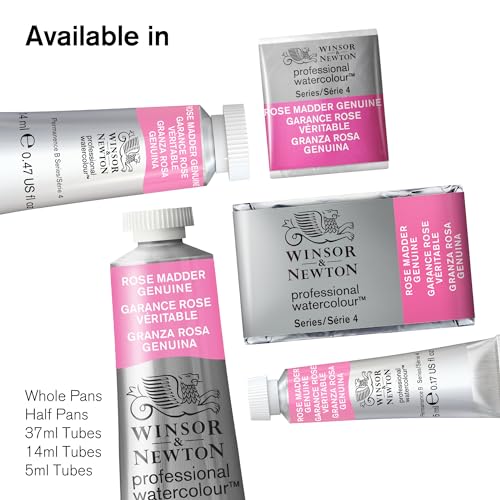 Winsor & Newton Professional Watercolor Paint Set, Black Box Set, 12 Half Pan - style: Black Box 12 Half Pan