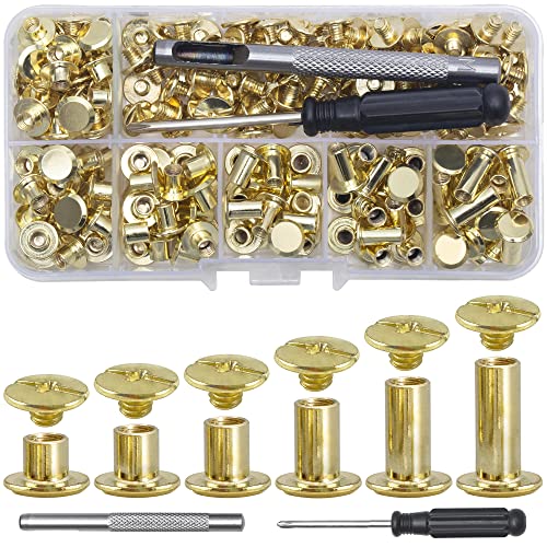 YORANYO 110Sets Chicago Screws Leather Rivets Assorted Screw Rivets Chicago Binding Screws for Decorate and Repair Leather Craft Belt Bag Shoes Purse Bookbinding (Gold, M5*4,5,6,8,10,12) - color: Gold, M5*4,5,6,8,10,12